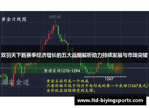 双羽天下新赛季经济增长的五大战略解析助力持续发展与市场突破