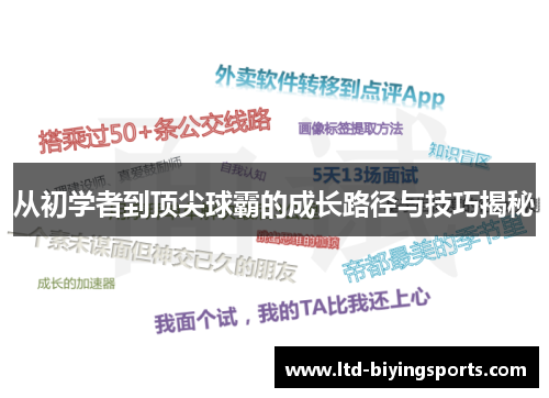 从初学者到顶尖球霸的成长路径与技巧揭秘