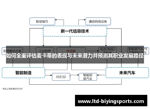 如何全面评估麦卡蒂的表现与未来潜力并预测其职业发展路径