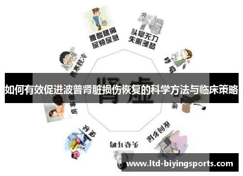 如何有效促进波普肾脏损伤恢复的科学方法与临床策略