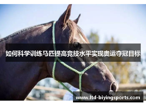 如何科学训练马匹提高竞技水平实现奥运夺冠目标