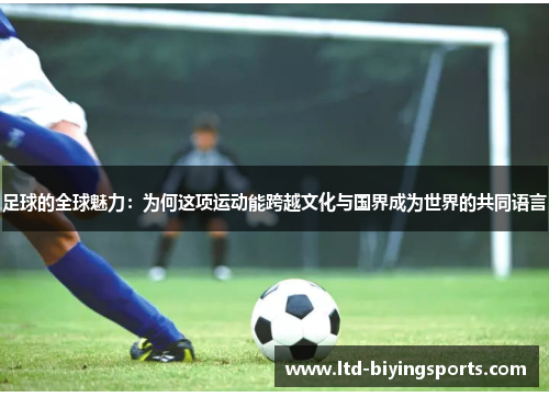 足球的全球魅力：为何这项运动能跨越文化与国界成为世界的共同语言